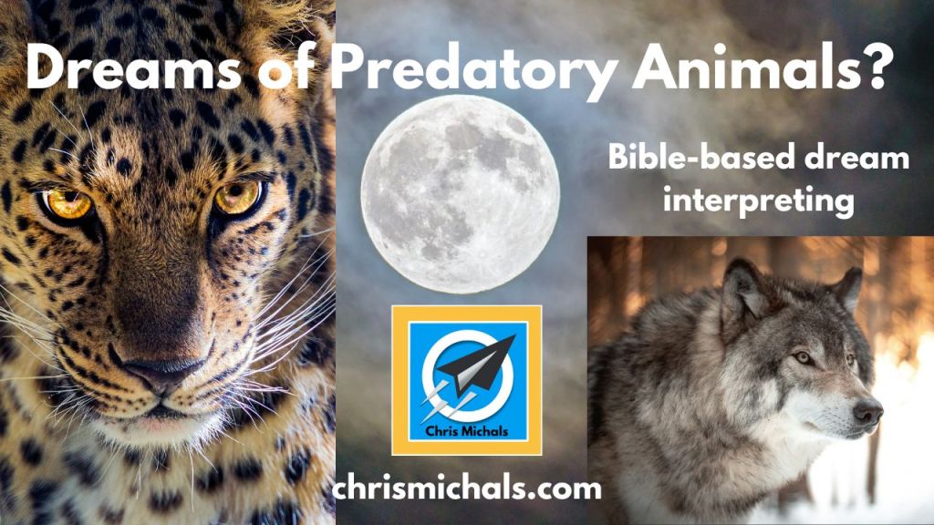 Dreams Of Being Attacked By A Wolf & Other Predatory Animals? Here’s The Meaning